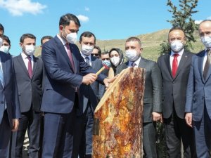 Başkent’te bir Millet Bahçesinin daha ilk fidanları dikildi