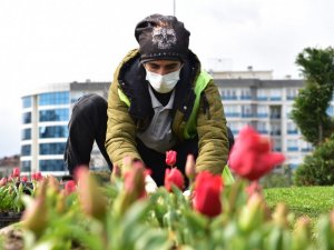 Tuzla lalelerle gelin gibi süsleniyor