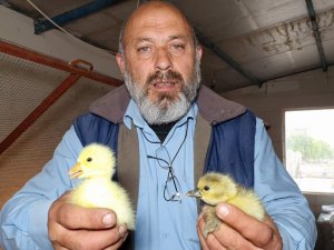 İnat etti başardı, tüm Türkiye’ye gönderiyor