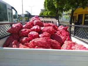 Patates dağıtımı Aydın’da devam ediyor