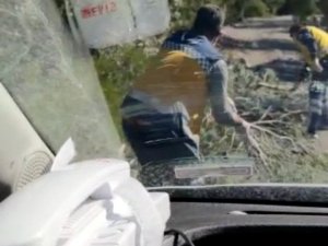 Hastaya yetişmeye çalışan 112 ekibine kütük engeli