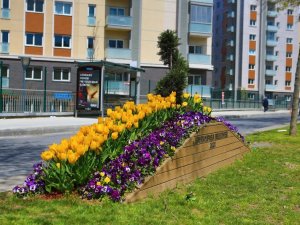 Bayrampaşa’da lale şöleni