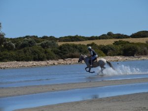 Didim’de alternatif turizm hareketliliği etkinlikle anlatıldı