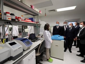 Yerli aşıda Faz-3 çalışmalarına nisan ayının sonunda geçilecek