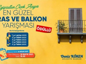 “Eyüpsultan Çiçek Açıyor” sloganıyla yarışma başladı