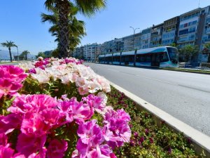 İzmir çiçek açtı