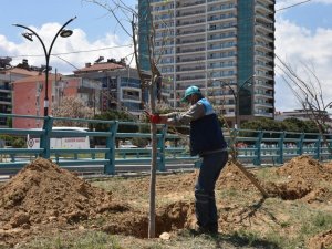 Büyükşehir’den Alaşehir’de 6 bin metrekarelik peyzaj