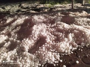 Dolu üzüm bağlarını vurdu