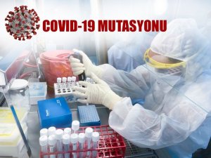 KKTC’de SARS-CoV-2’nin aşıya dirençli Güney Afrika ve Brezilya varyantlarına rastlanmadı