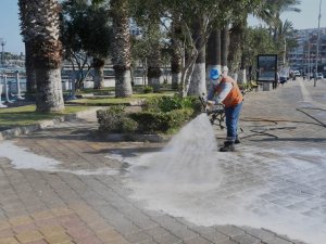 Pandemiye karşı doğa dostu temizlik