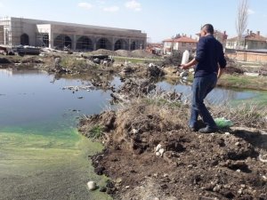 Sinek ve haşere ile mücadele erken başladı