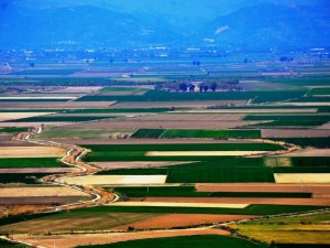 Koçarlı ve Germencik’te zorunlu arazi toplulaştırması yapılacak