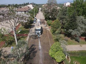 Efeler’de bahar temizliği