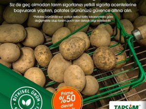 TARSİM: “Patates ürününüz güvende”