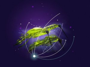 Karbon emisyonu azaltma çalışmalarına bilimsel onay