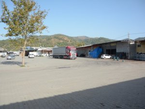 Büyükşehirle hallerin çehresi değişti