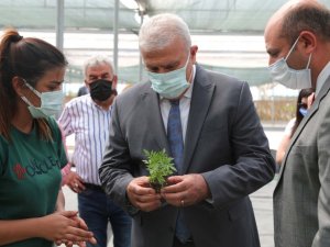 Başkan Atay, belediyenin tarım arazilerini inceledi