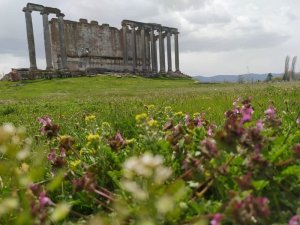 Aizanoi Antik  Kenti’nde ilkbahar güzelliği