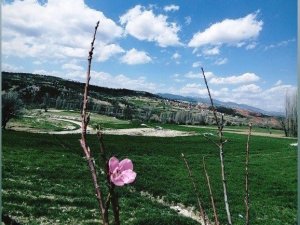 Fotoğraf yarışması birincisi Hisarcık’tan