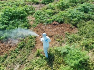 Sultangazi’de sivrisineksiz yaz için ilaçlamalar başladı