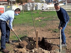 Ortaokul bahçesi ağaçlandırıldı