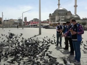 Taksim meydanı 1 Mayısta kuşlara kaldı