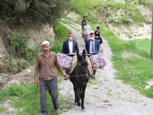 Bu gezici kütüphane diğerlerinden biraz farklı, kitaplar eşekle taşınıyor