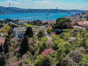 İstanbul’da erguvan zamanı