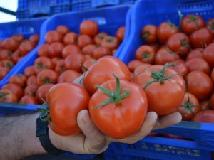 Fiyatı en fazla artan ürün domates oldu