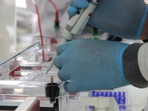 TÜBİTAK Başkanı Prof. Dr. Hasan Mandal: