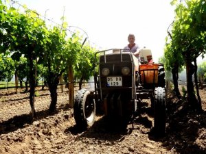 Çiftçiler Türkiye için üretmeye devam ediyor