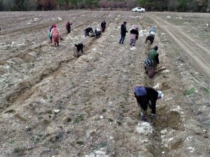 Gelir getirici türlerle köylülere destek