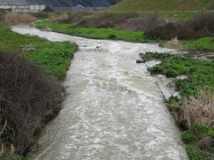 Atıksu tesisindeki sular arıtılmadan akıtıldı, Riva Deresinde su kirliliği oluştu
