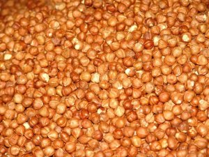 KFMİB: “Fındık popüler tıp camiasında görmezden geliniyor”