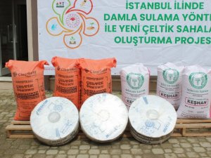 Çatalca’da çeltik ekiminde yeni dönem