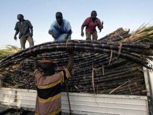 Küresel gıda fiyatları 8 yılın zirvesinde