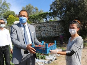 Bodrum belediyesi, tezgaha çıkarılamayan ürünleri halka ulaştırıyor
