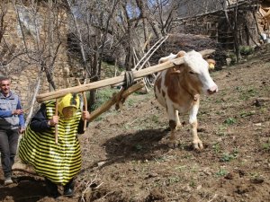 Türkücü Aydın Aydın arı kostümü giyerek hayvanlarla helalleşti