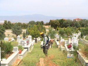Büyükşehir mezarlıklarda bakım ve temizlik yapıyor