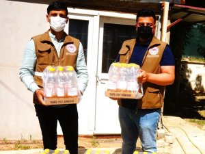 Sarıgöl’de kiraz üreticisini etkileyen sirke sineğiyle mücadele