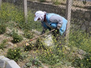 Park ve yeşil alanlarda yaz hazırlığı