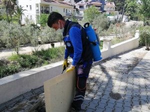 Vektör ile mücadele devam ediyor