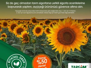 TARSİM: "Ayçiçeği ürününüz güvende"