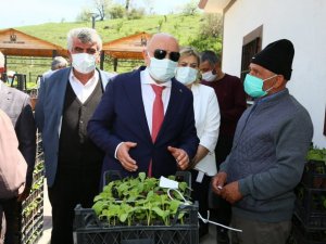 Keçiören’deki çiftçilere ücretsiz sebze fidesi dağıtıldı