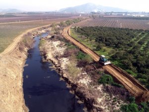 Belevi kanalına neşter