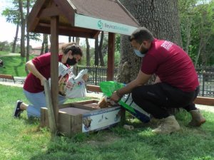 Beykoz’da tam kapanma döneminde sokak hayvanları unutulmadı