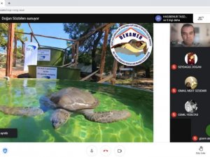 Karacasu’da deniz kaplumbağaları anlatıldı