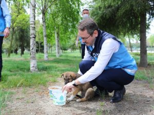 Başkan Kartoğlu “Her gün sevimli dostlarımızın yanındayız”