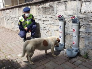 Nazilli Jandarma Timlerinden ‘Bir Kap Can’ Projesi