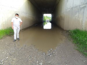 Bu da köprü altı havuzu